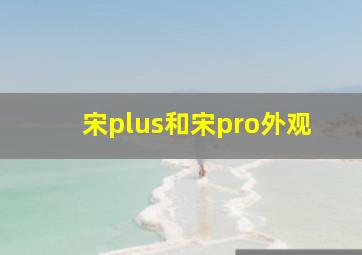 宋plus和宋pro外观