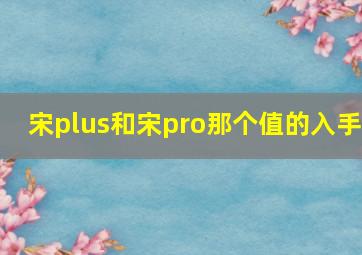 宋plus和宋pro那个值的入手