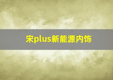 宋plus新能源内饰