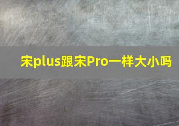 宋plus跟宋Pro一样大小吗