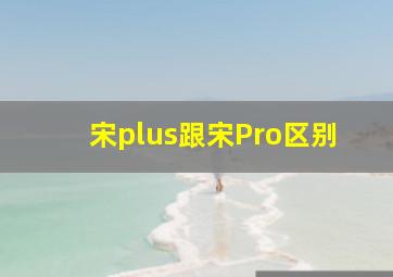 宋plus跟宋Pro区别