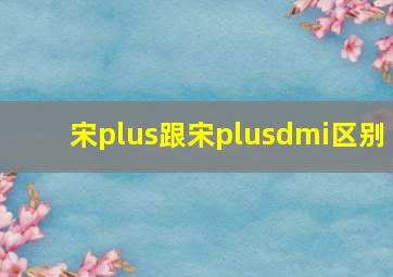 宋plus跟宋plusdmi区别