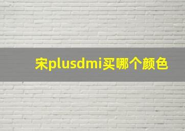 宋plusdmi买哪个颜色