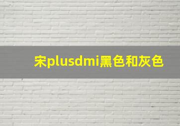 宋plusdmi黑色和灰色