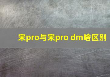 宋pro与宋pro dm啥区别