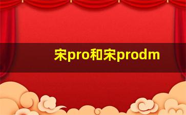 宋pro和宋prodm