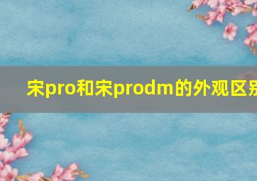 宋pro和宋prodm的外观区别