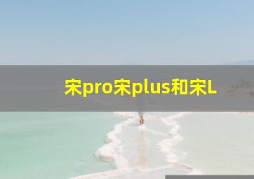 宋pro宋plus和宋L