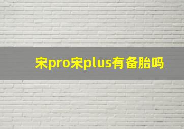 宋pro宋plus有备胎吗