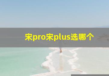 宋pro宋plus选哪个