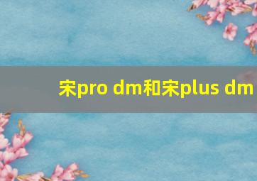 宋pro dm和宋plus dm