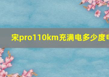 宋pro110km充满电多少度电