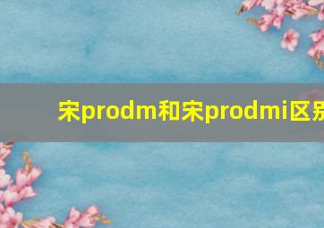 宋prodm和宋prodmi区别