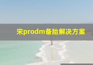 宋prodm备胎解决方案