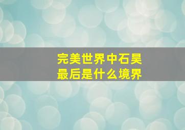 完美世界中石昊最后是什么境界