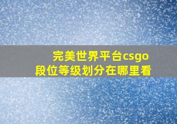 完美世界平台csgo段位等级划分在哪里看