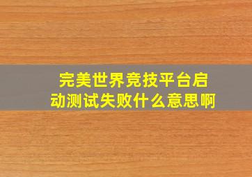 完美世界竞技平台启动测试失败什么意思啊