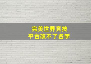 完美世界竞技平台改不了名字