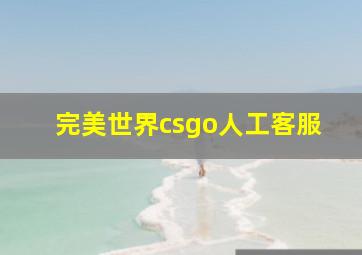 完美世界csgo人工客服