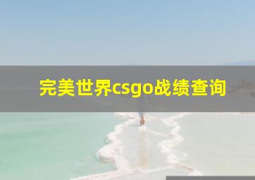 完美世界csgo战绩查询