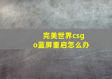 完美世界csgo蓝屏重启怎么办