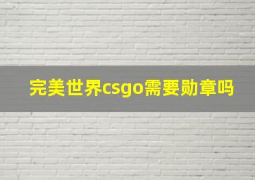 完美世界csgo需要勋章吗