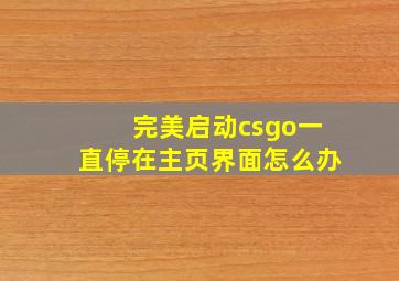 完美启动csgo一直停在主页界面怎么办