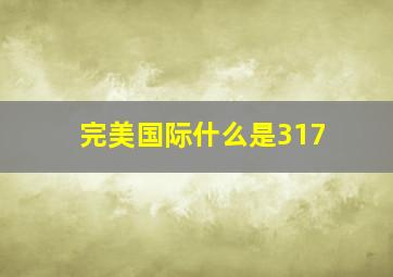 完美国际什么是317