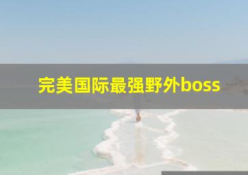 完美国际最强野外boss