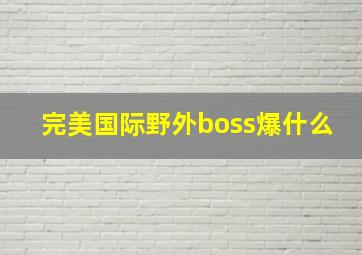 完美国际野外boss爆什么