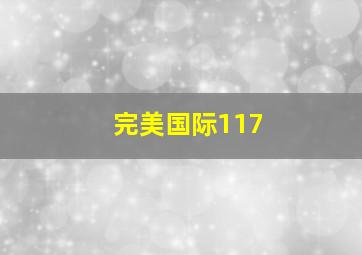 完美国际117