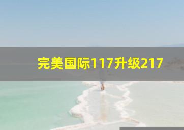 完美国际117升级217