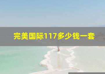 完美国际117多少钱一套