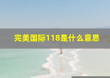 完美国际118是什么意思