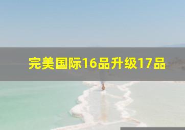 完美国际16品升级17品