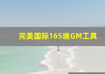 完美国际165端GM工具