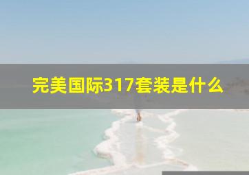 完美国际317套装是什么