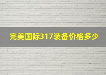 完美国际317装备价格多少