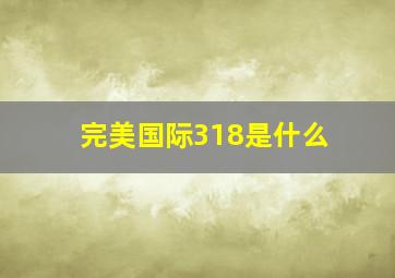 完美国际318是什么