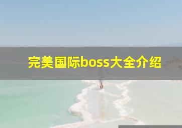 完美国际boss大全介绍