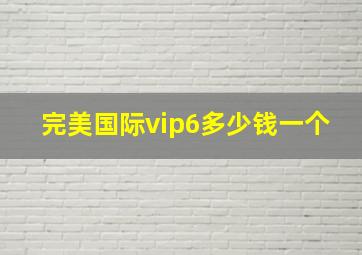 完美国际vip6多少钱一个