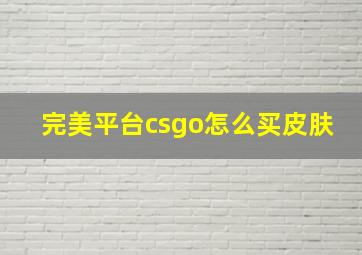 完美平台csgo怎么买皮肤