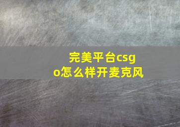 完美平台csgo怎么样开麦克风