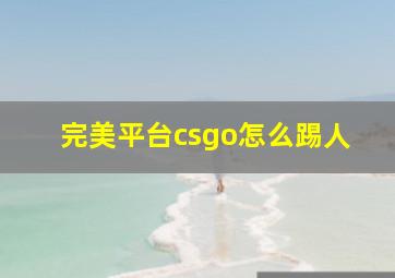 完美平台csgo怎么踢人