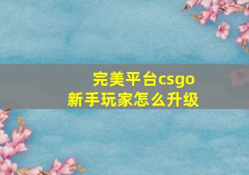 完美平台csgo新手玩家怎么升级