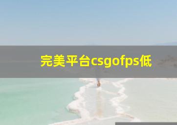 完美平台csgofps低