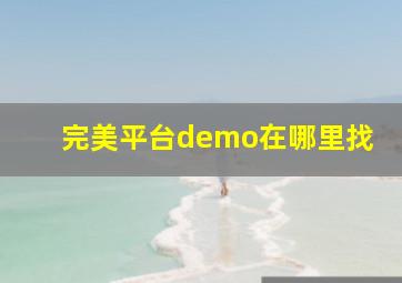 完美平台demo在哪里找