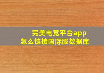 完美电竞平台app怎么链接国际服数据库