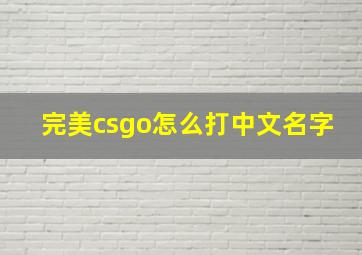 完美csgo怎么打中文名字