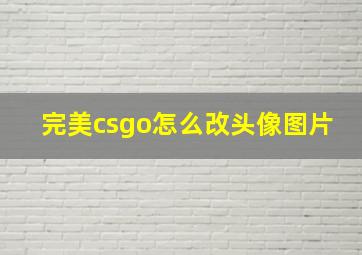 完美csgo怎么改头像图片